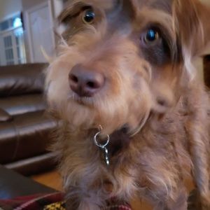 Meet your Posher, Lois